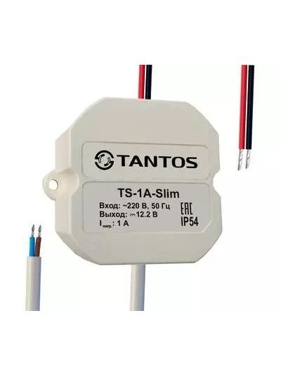TS-1A-U-Slim блок питания Tantos