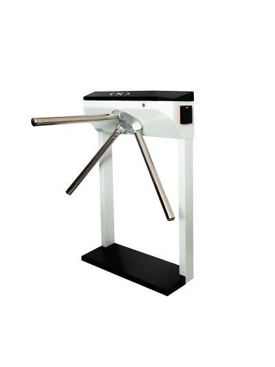 Model R (a) SIGUR (MF) турникет 3V