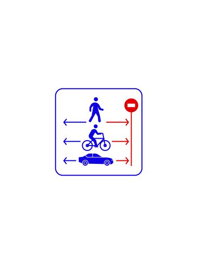 Direction Detector детектор движения в запрещенном направлении Trassir