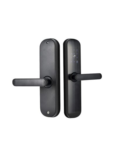 BASIC электронный замок TTlock