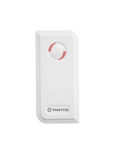 TS-CTR-EMF White автономный контроллер Tantos