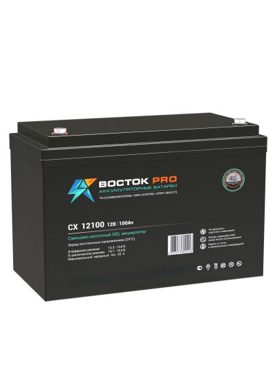 СХ 12100 аккумулятор Восток