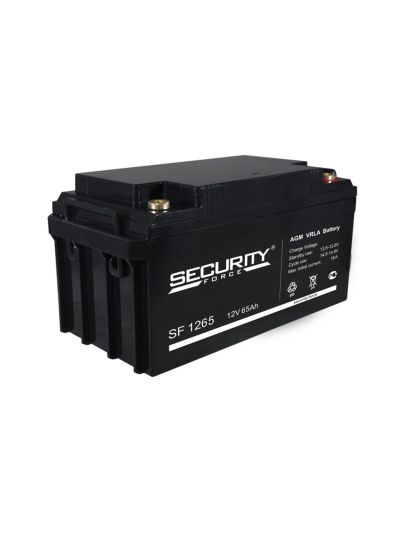 SF 1265 аккумулятор Security Force