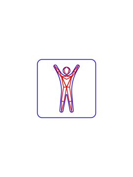Pose Detector детектор поз Trassir