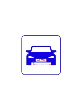 AutoTRASSIR-30/+1 дополнительный канал распознавания номеров Trassir