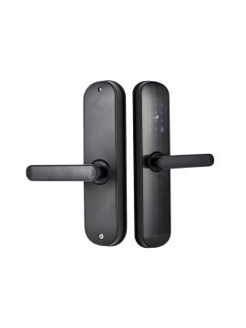 BASIC электронный замок TTLOCK