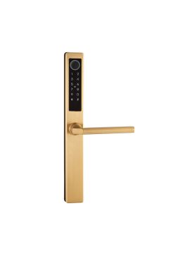 REX электронный биометрический замок TTLOCK