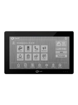 TI-4210AC видеодомофон True IP