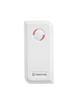 TS-CTR-EMF White автономный контроллер Tantos
