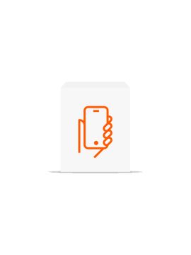 Мобильный терминал для регистрации проходов (Offline режим) Sigur
